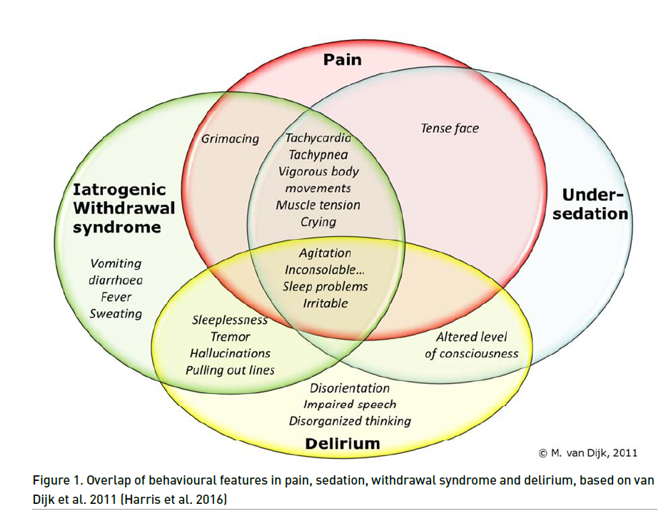 Pain Management In Paediatric Critical Care